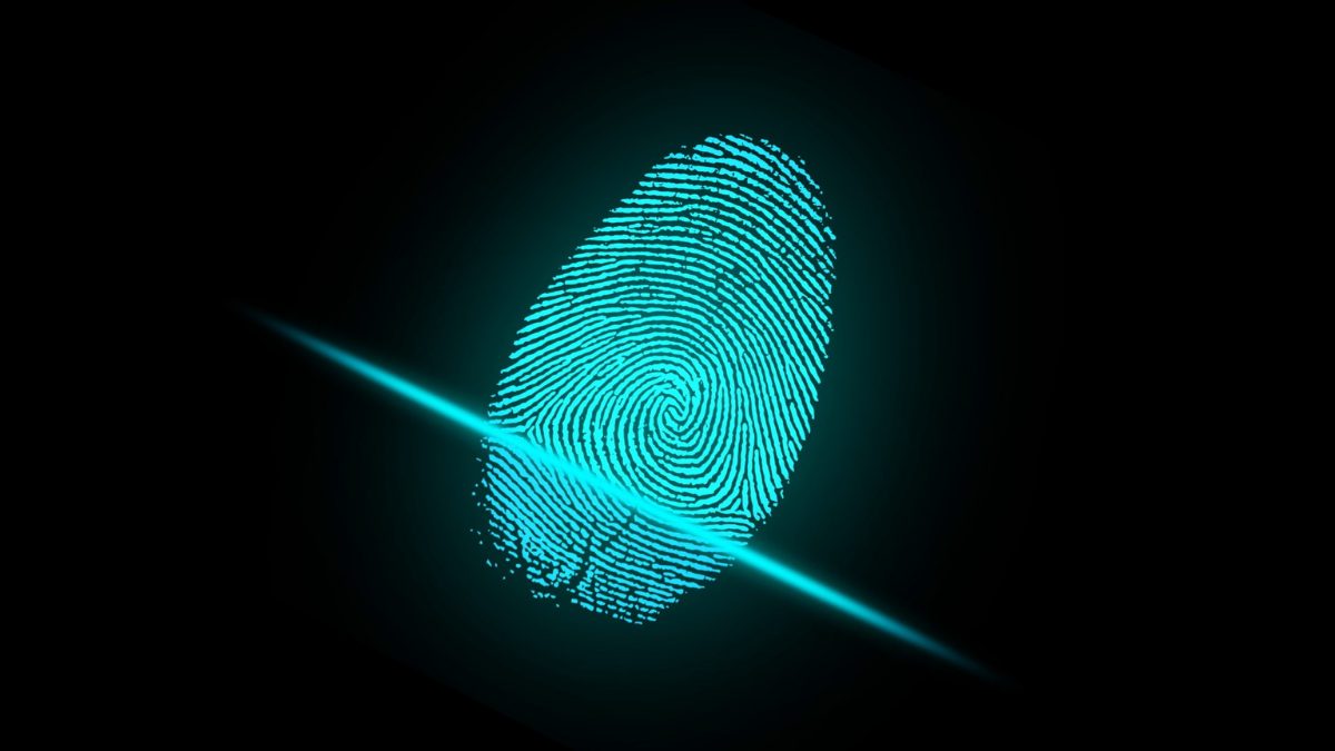 How Much Will a Security Breach Actually Cost Your Business?