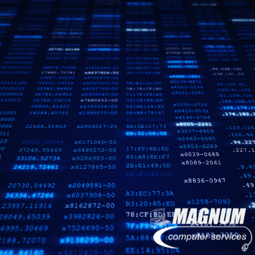Cybersecurity Solutions | Magnum Computer Services